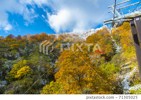 白馬高麗遠空纜車,第一場雪和秋葉 白馬高麗遠空纜車,第一場雪和秋葉 71305025