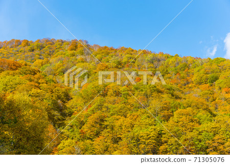 白馬山脈的壯麗景色 白馬山脈的壯麗景色 71305076