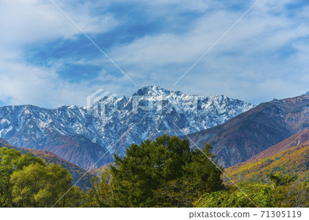 Autumn leaves and Hakuba Goryudake Autumn leaves and Hakuba Goryudake 71305119