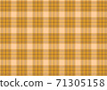Tartan check 71305158