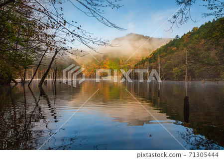 Autumn leaves reflected in the natural lake in the morning mist at dawn 71305444