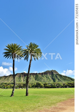 Holidays in Hawaii 71305655