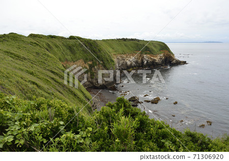 Cape Jogashima 71306920