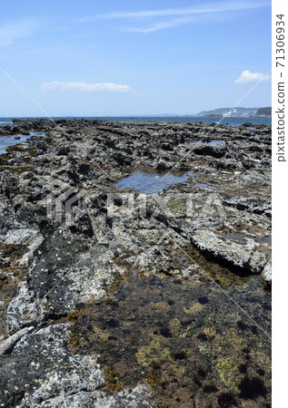 潮流的潮流 71306934