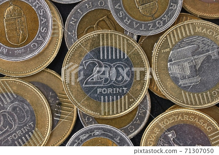 Many Coins 200 Hungarian Forint 71307050