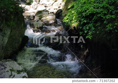 Upstream of the river 71307202