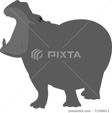 Hippopotamus 71308011
