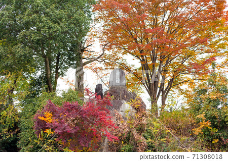 Tenryu boat descent, water god of autumn leaves seen from the boat 71308018