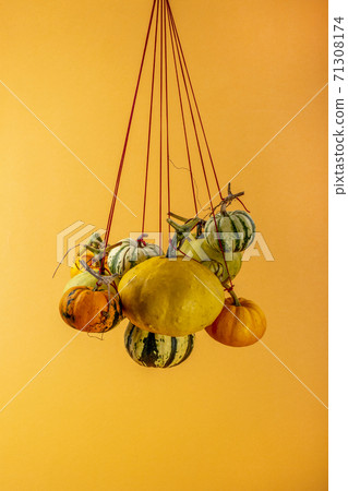 Various decorative pumpkins are hung on a rope 71308174