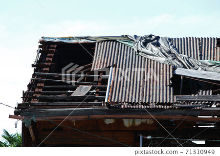 Galvanized iron roof that is likely to break with holes 71310949