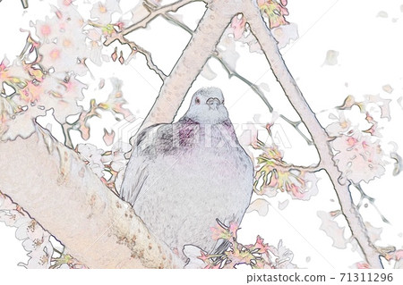 Illustration Sakura and Dove 4 71311296