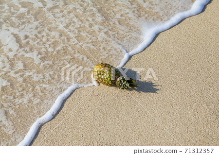 Pineapple placed on the beach Pineapple placed on the beach 71312357