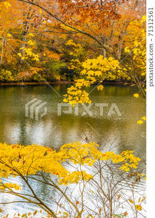 Kamike秋葉 71312561