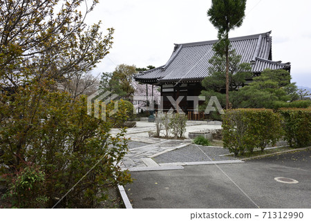 櫻花阿米達吉 櫻花阿米達吉 71312990