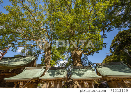Dazaifu Tenmangu Palace couple Dazaifu Tenmangu Palace couple 71313139