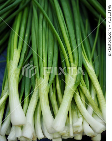 Fresh organic vegetable scallions 71313148