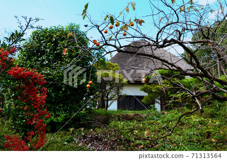 Saga Kinryu Park Kinryuyama Ikoi Square Saga Kinryu Park Kinryuyama Ikoi Square 71313564