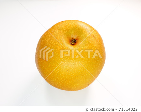 沒有梨 71314022