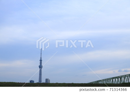 Kine River Bridge and Tokyo Sky Tree Kine River Bridge and Tokyo Sky Tree 71314366