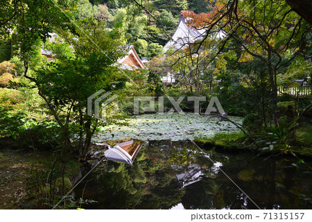 I went to Itajikisandaikakuji Temple # 44 71315157