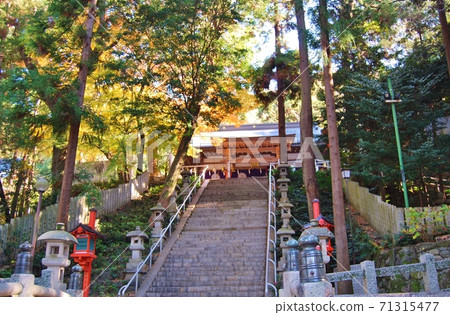 秋末平岡神社的風景 71315477