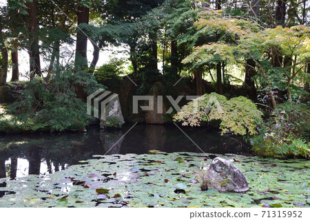 I went to Itajikisandaikakuji Temple # 59 71315952