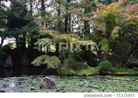 I went to Itajikisandaikakuji Temple # 57 71315955