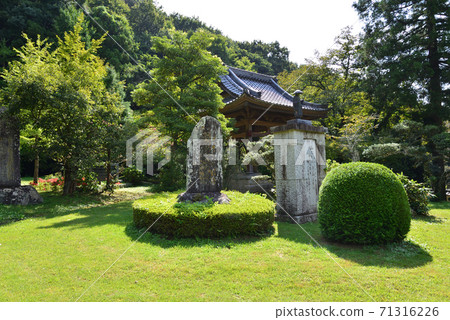 我去了Itashikiyama Daikakuji寺#68 我去了Itashikiyama Daikakuji寺#68 71316226