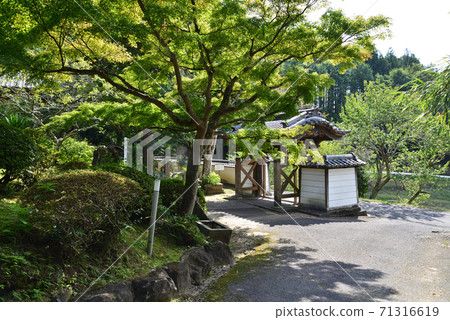 我去了板橋山大覺寺＃74 71316619