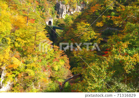 鳴子峽谷隧道 鳴子峽谷隧道 71316829