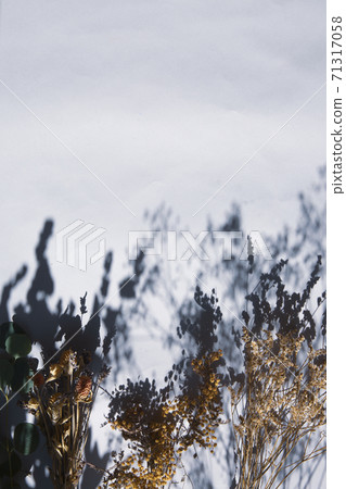 Living with natural light and dried flowers 71317058