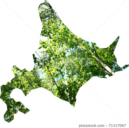 Map of Hokkaido Photographs of nature and birch forest leaves in the shape of topographic | Forest bathing tourism image Map by prefecture 71317067