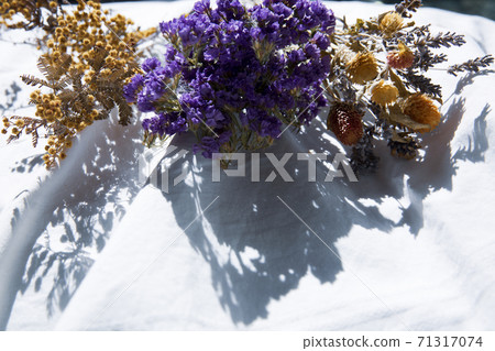 Living with natural light and dried flowers 71317074