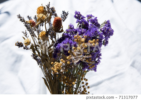 Living with natural light and dried flowers 71317077