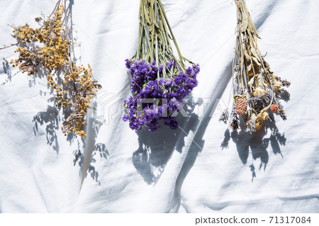 Living with natural light and dried flowers 71317084