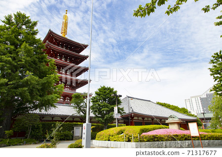 Senso-ji Temple Five-storied pagoda Senso-ji Temple Five-storied pagoda 71317677