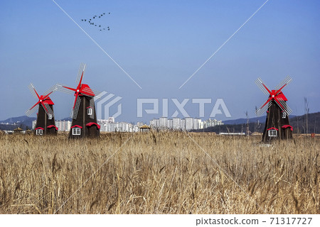 索拉濕地生態公園 71317727