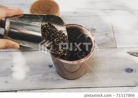 Hobby gardening work scenery 71317866