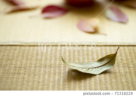 Fallen leaves on tatami mats, dead leaves 71318229