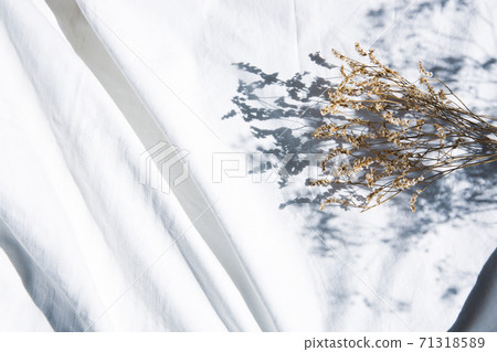 乾花和乾淨的白色棉織物背景 71318589