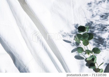 Dried flowers and clean white cotton fabric background 71318590
