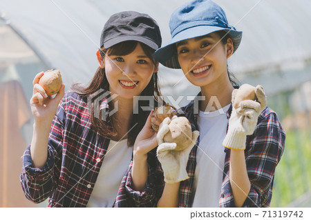 女生 女孩 女性 71319742