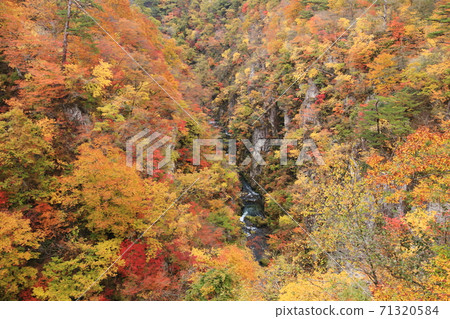 Autumn of Michinoku Miyagi Autumn leaves of Naruko Gorge 71320584