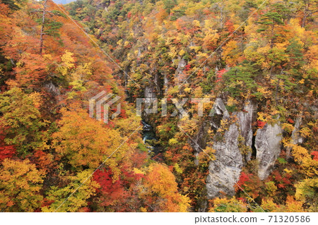 Autumn of Michinoku Miyagi Autumn leaves of Naruko Gorge 71320586