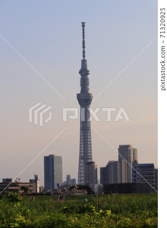 Kine River Bridge and Tokyo Sky Tree 71320925
