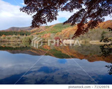 Himenuma in Inawashiro Town and Autumn Leaves 71320978