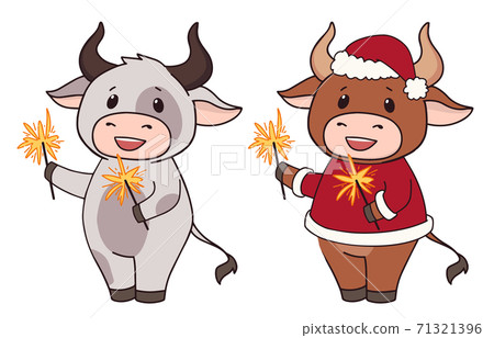 Set of two cartoon cow wearing Christmas costume and holding sparkles. 71321396