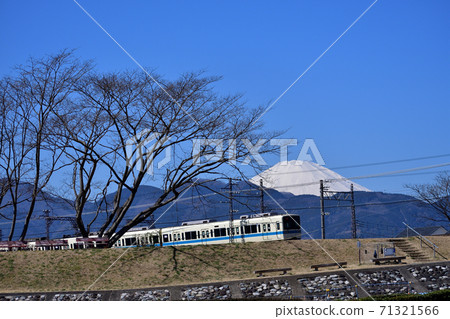 佐川川河床小田急線和富士山 71321566