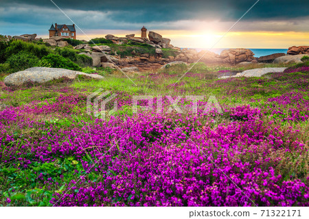 Atlantic ocean coast in Brittany region, Ploumanach, France, Europe Atlantic ocean coast in Brittany region, Ploumanach, France, Europe 71322171