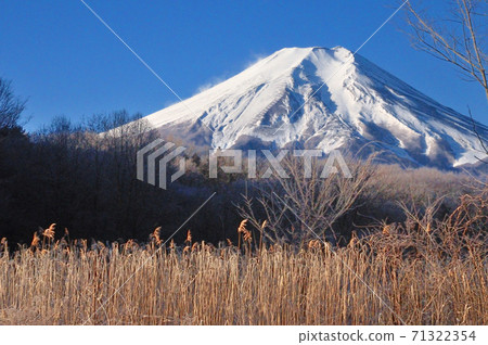 富士山 71322354